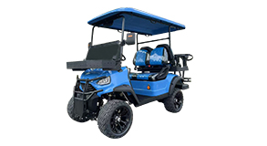 Sightseeing bus Series